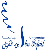 Université Ibn Tofaïl de Kénitra